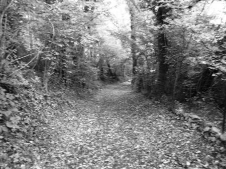 Chemin en terre !!!!!