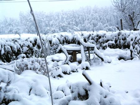 La neige